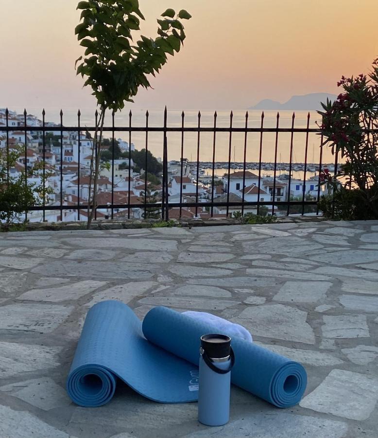 Villa Icelle Skopelos Town Sea View Swimming Pool 外观 照片